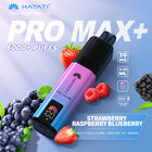 Hayati Pro Max Plus 6000 Puffs - £8.99 (mix boxes available)